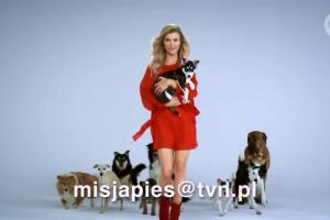 "Misja pies" - Joanna Krupa zachęca zaprasza na castingi