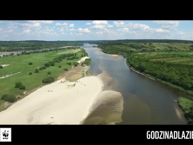 "Godzina dla Wisły 2017" - spot WWF Polska z Magdaleną Cielecką