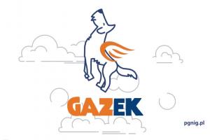 Latający pies Gazek reklamuje PGNiG
