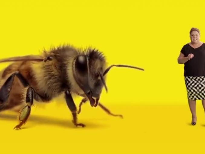 Dorota Wellman promuje „Adoptuj pszczołę" od Greenpeace Polska