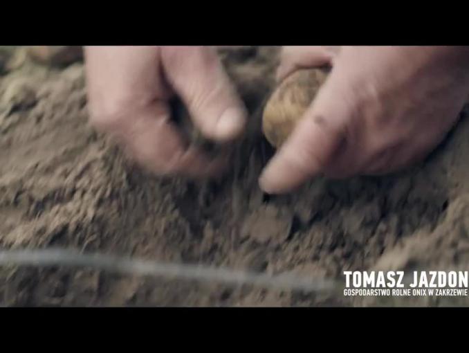 Lidl reklamuje świeże polskie ziemniaki