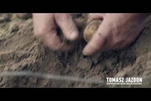 Lidl reklamuje świeże polskie ziemniaki