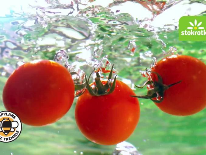 Polskie pomidory w reklamie sieci Stokrotka