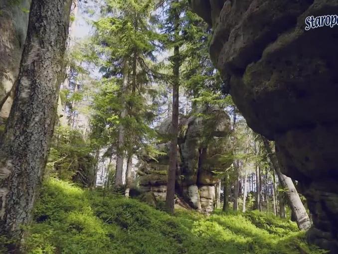 „Ważne jak żyjesz, ważne co pijesz!” w reklamach Staropolanki