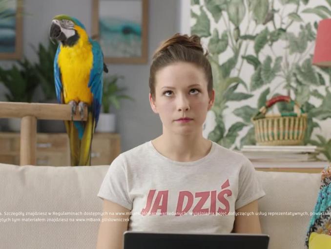 Przelew z papugą w reklamie mBanku