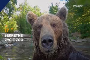 "Sekretne życie zoo" w Fokus TV