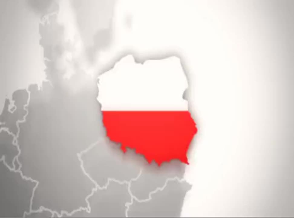 reklama karty telegrosik