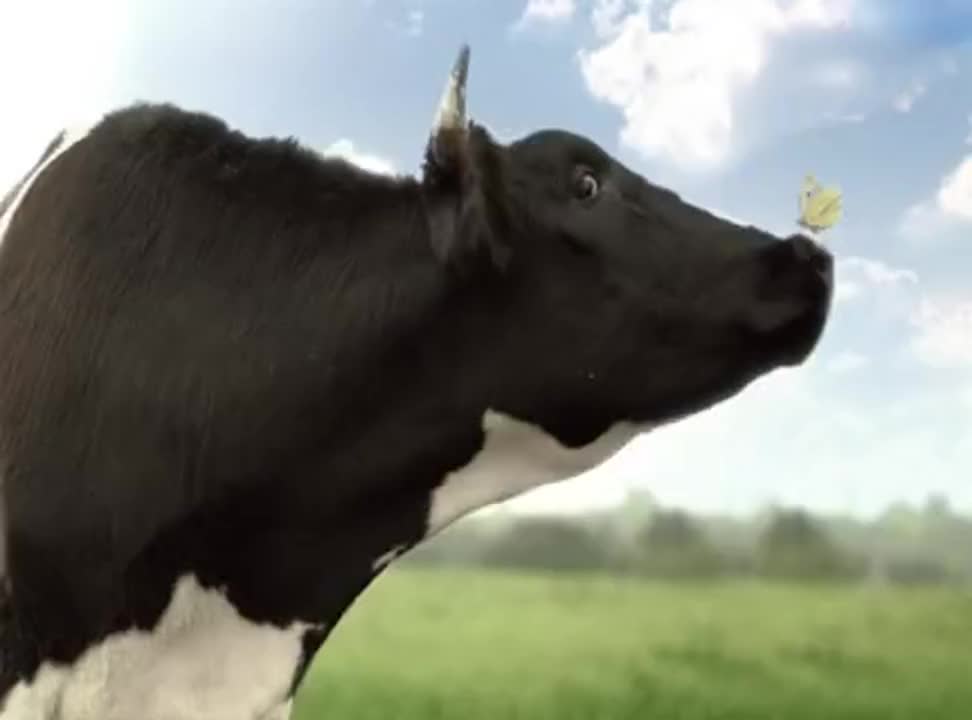 reklama mleka Laciate