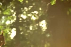 „Czeka na polanie” w reklamie Żubra Ciemnozłotego (wideo)