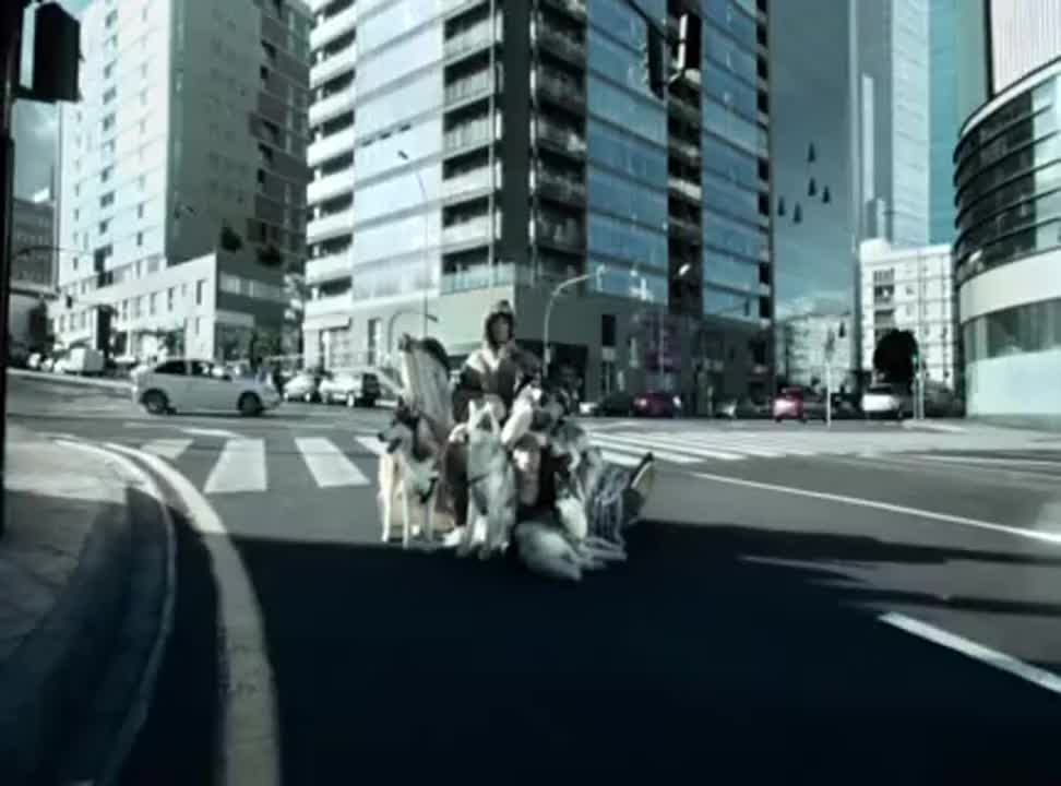 Eskimos w reklamie Link4 