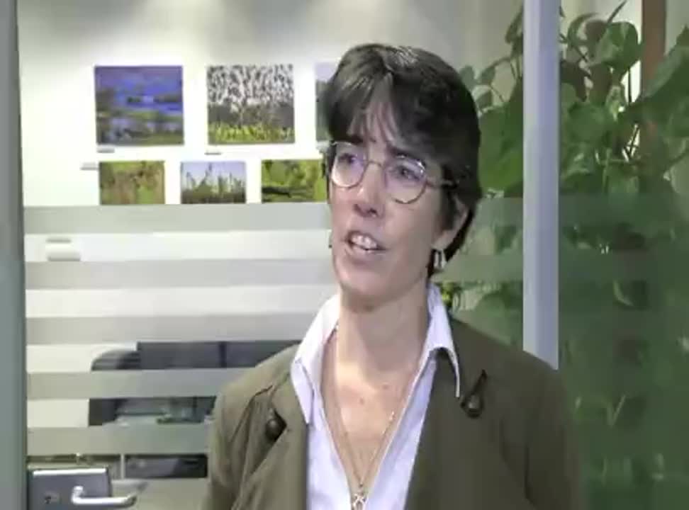 Katastrofalne skutki globalnego ocieplenia