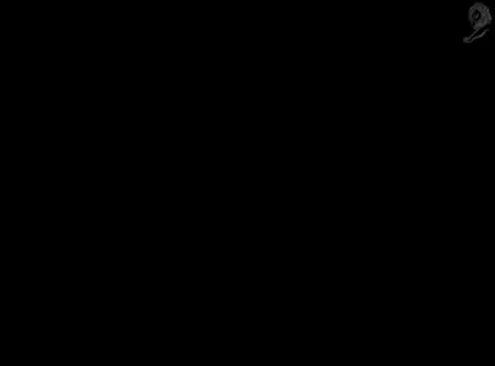 Geox Amphibiox