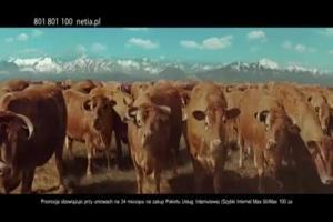 Tomasz Kot jako kowboj reklamuje Foton w Netii 