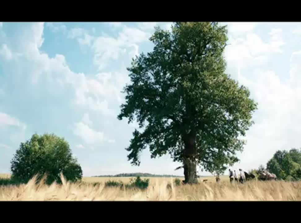 Kasztelan Niepasteryzowane z kampanią reklamową "Drzewo"