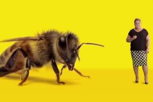 Dorota Wellman promuje „Adoptuj pszczołę" od Greenpeace Polska