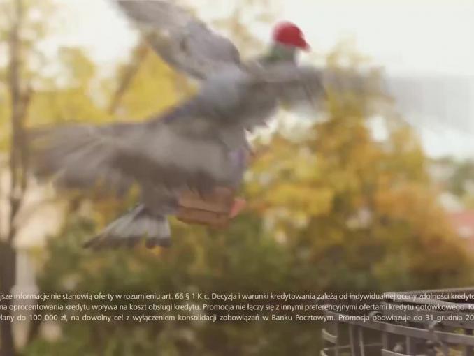 Gołębie reklamują Kredyt Pocztowy w Banku Pocztowym