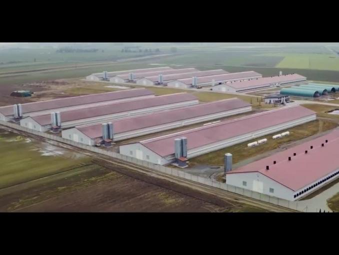 Lidl - spot z właścicielem firmy Indrol 