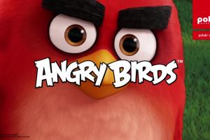 Angry Birds w promocji Polomarketu