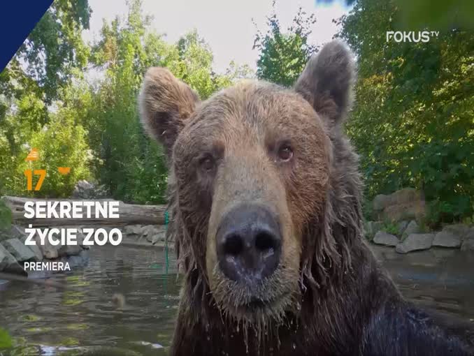 "Sekretne życie zoo" w Fokus TV