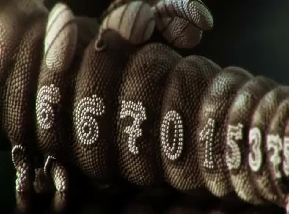 Orange - reklama przenoszenia numeru na kartę
