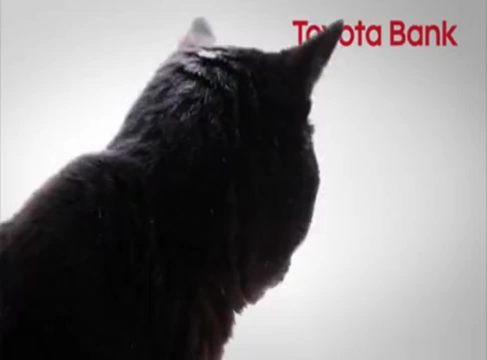 Toyota Bank - reklama z czarnym kotem