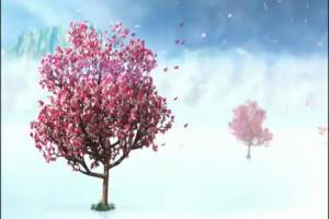 Polsat - spot ramowki na wiosne 2012