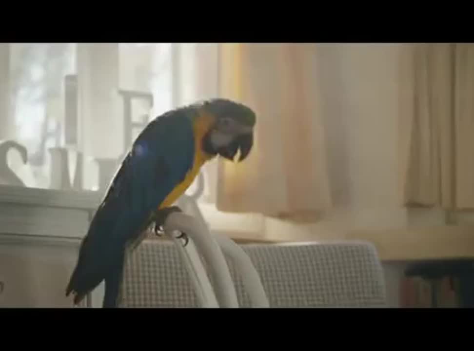 reklama Bebiko Junior