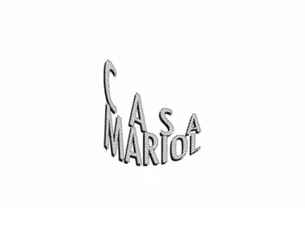 Casa Mariol wine ink - case study