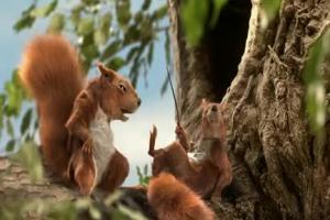 Wiewiórki reklamują pożyczkę bez wyrzeczeń w Banku BGŻ 