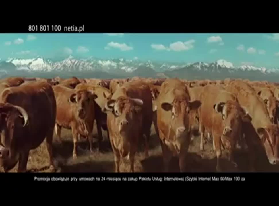Tomasz Kot jako kowboj reklamuje Foton w Netii 