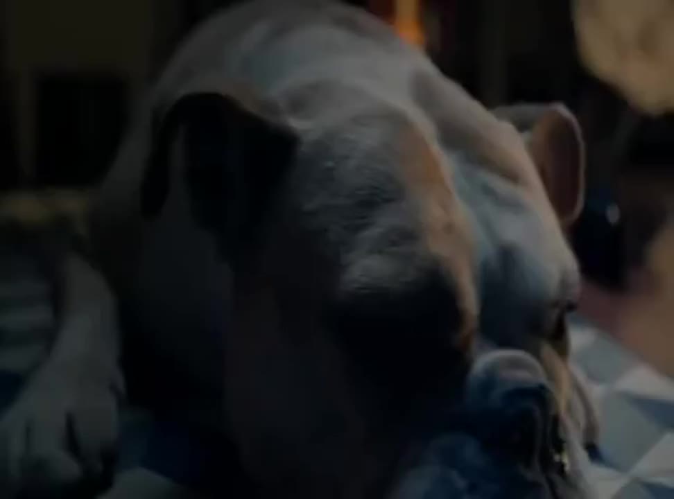 Modafen reklamowany jako „nowoczesne uderzenie w przyczynę objawów grypy”