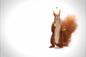 Żonglerka wiewiórki reklamuje chrupki Felix