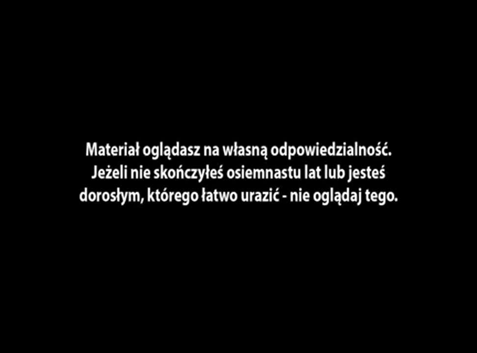 Ryba piła w ostrym spocie Tigera Restart