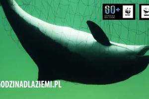 Marcin Dorociński w kampanii „Godzina dla Ziemi” WWF