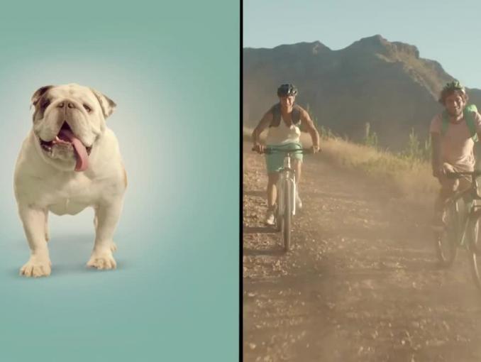 Przejażdżka na buldogu jako najlepsze połączenie reklamuje Tymbark